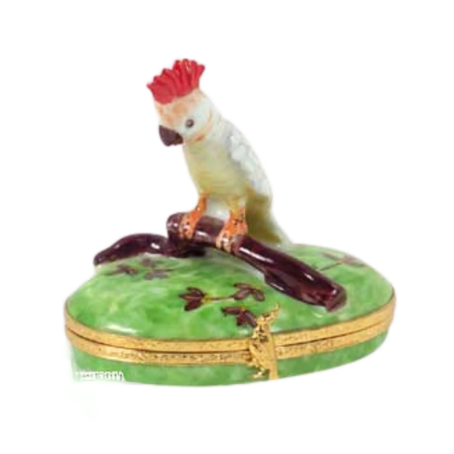Cockatoo: Red Crest Bird